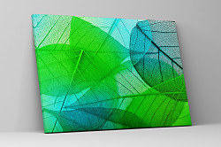 Obraz Zelené listy zs1272